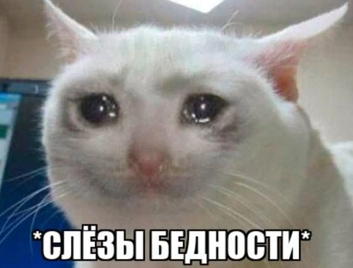 Аналитика показывает: каждый 12-й калининградец не покрывает стоимость фиксированной корзины товаров и услуг. За год положение региона по доходам не улучшилось — 54-е место; рост цен опережает рост зарплат.