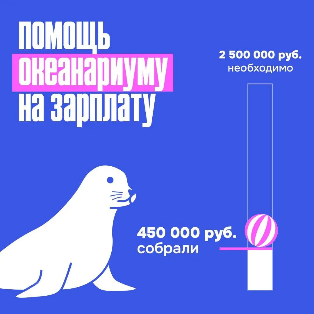 На зарплаты персонала мурманского океанариума добровольные пожертвования принесли 450 тыс. руб. из необходимых 2,5 млн; сбор продолжается, животных также поддержали кормом, витаминами и ремонтными работами.