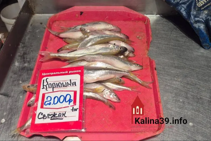 Жители Калининградской области отмечают, что рыба, яйца и другие местные продукты стоят в регионе не дешевле, а иногда дороже, чем в столице — при том что зарплаты в области ниже.