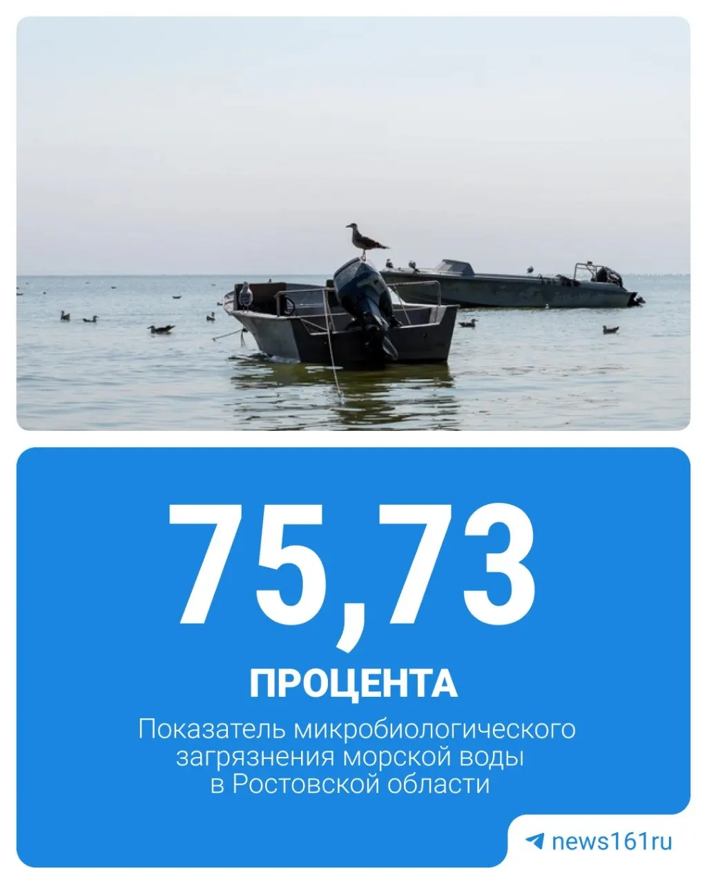 По данным Роспотребнадзора за 2025 год, 75,73% проб на побережье Таганрогского залива не соответствуют нормативам; хуже ситуация лишь в Санкт-Петербурге и Хабаровском крае.