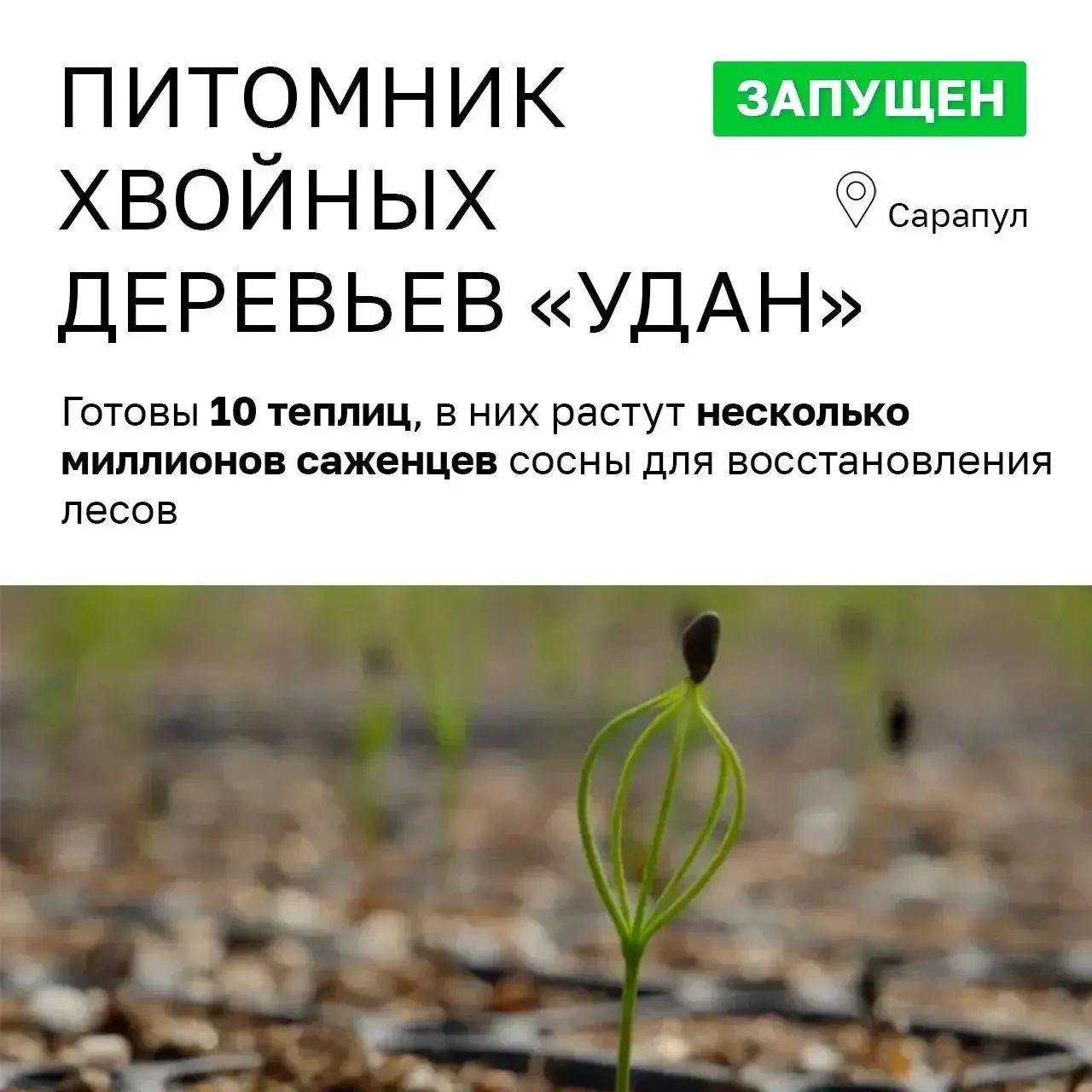 Власти представляют «УДАН» как зелёный успех после ПМЭФ, но выручка и налоговые поступления проекта минимальны, а смена статуса на АО скрыла владельцев.