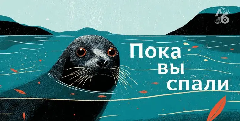 Короткая подборка главных новостей: сокращение расходов на здравоохранение, дефицит бензина в регионах, памятник режиссёру в Екатеринбурге, проблемы с водой в Карелии и другие события.