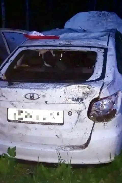 Автомобиль 74‑летнего водителя опрокинулся в кювет в 7 км от деревни Римское в сторону Пудожа. Один кот был забран медиками, судьба двух других — неизвестна. Владелец госпитализирован, организован розыск животных.