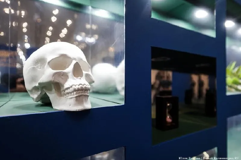 В Калининградском музее изобразительных искусств 6 июня открылась выставка «Альбрехт Дюрер. Секретный код» (0+), посвящённая немецкой гравюре конца XV — первой половины XVI века и 555‑летию мастера.