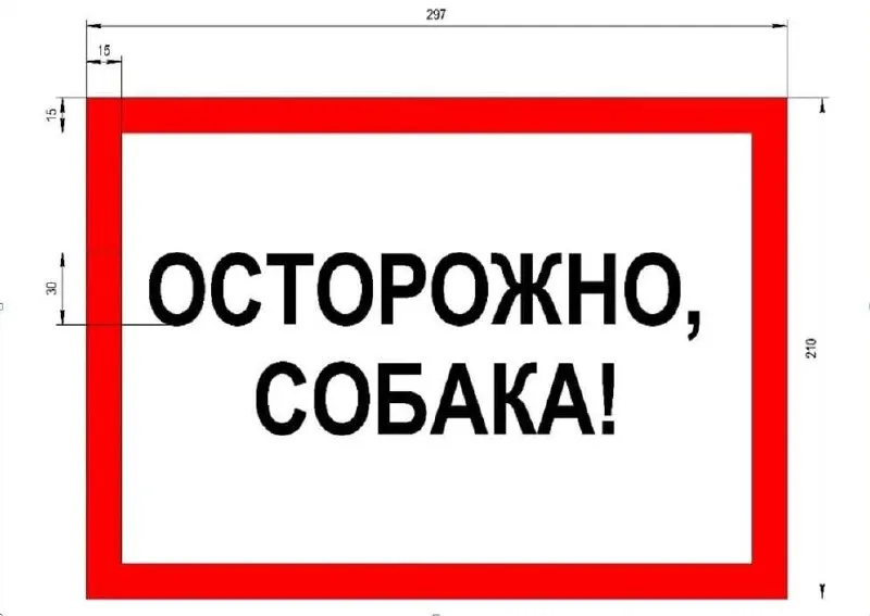 Проект Управления ветеринарии устанавливает дизайн, минимальный размер и обязанность установки табличек для крупных и потенциально опасных собак. За отсутствие предусмотрен штраф 1–3 тыс. руб.