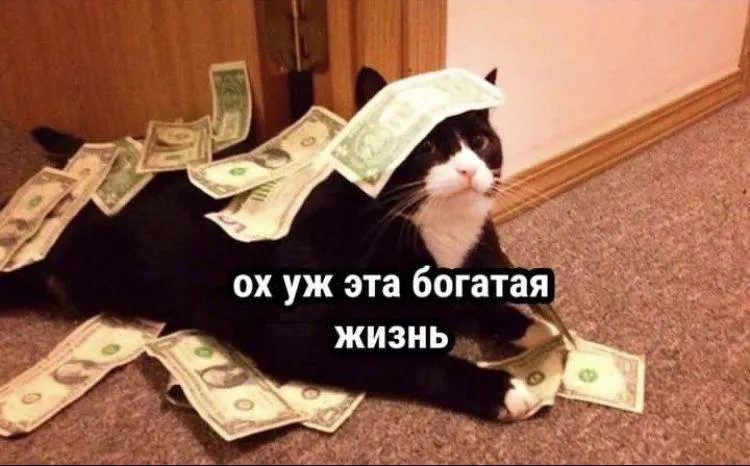 Петростат: средняя номинальная зарплата петербуржцев выросла на 9,1% за год. Лидируют добыча полезных ископаемых, водный и воздушно-космический транспорт, IT — на четвёртом месте.