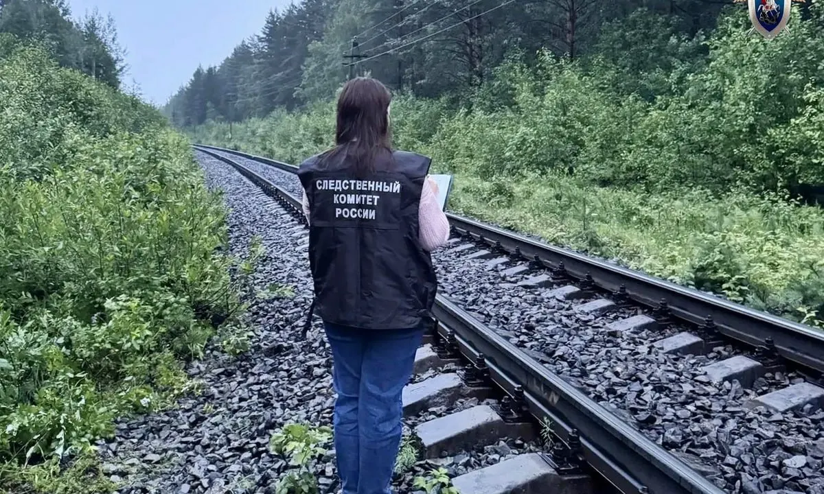 5 июля вечером в районе посёлка Чална Пряжинского района мужчина погиб, переходя железнодорожные пути по тропинке; Следственный комитет Карелии проводит проверку и опрашивает очевидцев.