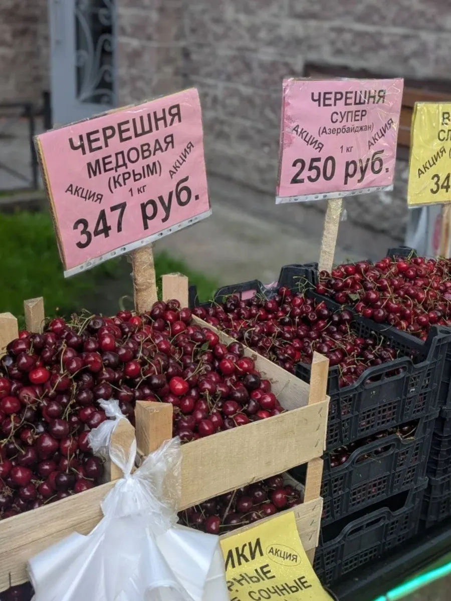 Килограмм черешни в Петербурге стал дороже почти на пятую часть: цены варьируются от доступных на окраинах до премиальных в сетевых и городских точках продаж; на стоимость влияют импорт, погодные условия и ограничения поставок.