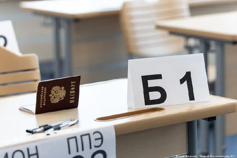 В Калининграде шесть выпускников набрали максимальные баллы при пересдаче ЕГЭ 8–9 июля: победители есть в литературе, химии и английском.