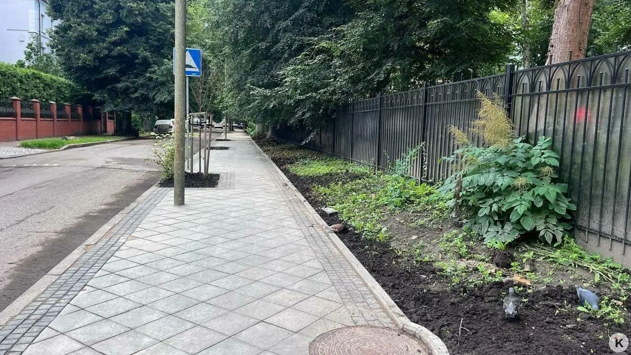 Администрация намерена через суд вернуть землю и снести самовольные постройки у Литовского вала, чтобы организовать безопасный подход к ближайшему детскому саду; работы начнутся после решения суда.