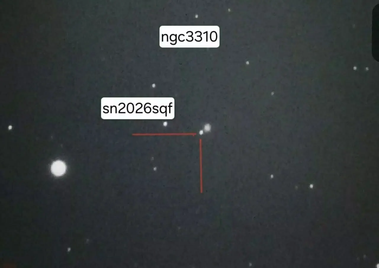 Калининградские исследователи измерили яркость сверхновой SN2026sqf в галактике NGC3310. Объект, открытый 8 июля, относится к типу II и в момент вспышки может светить ярче всей галактики.