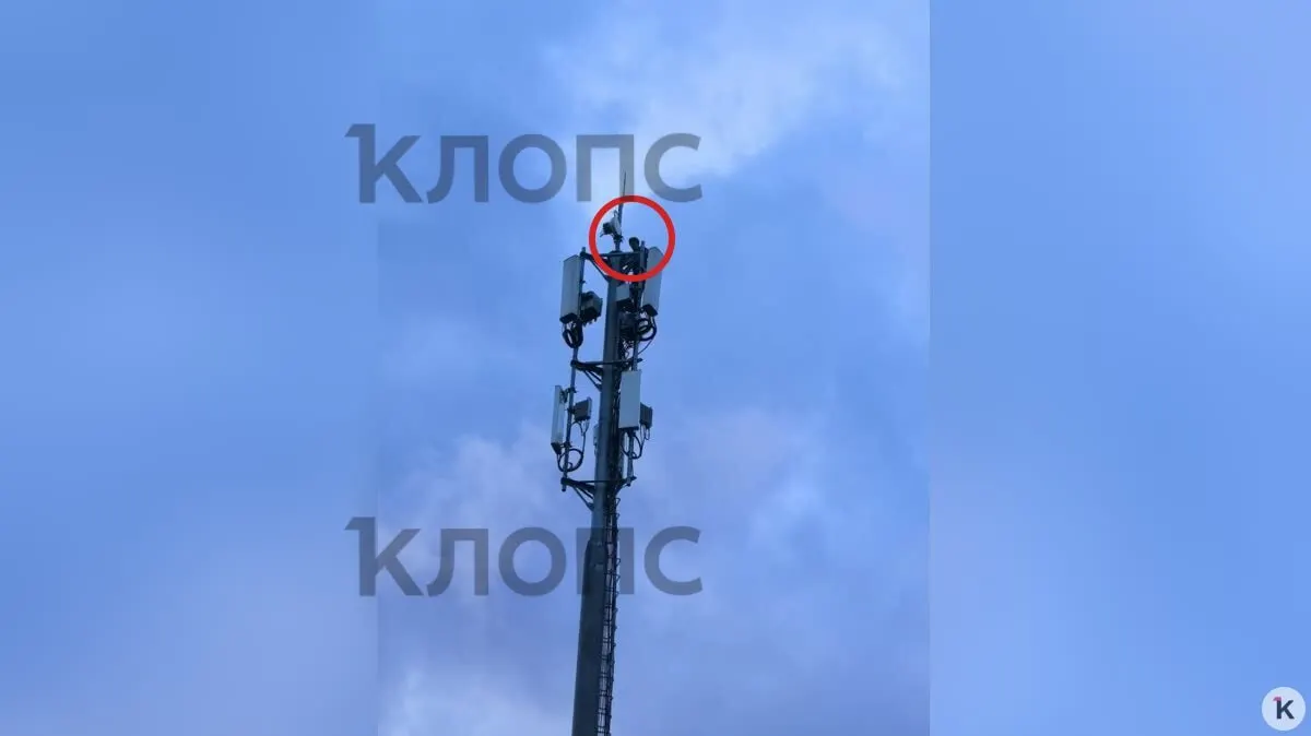 В Калининграде у дома на Рассветной вечером заметили подростка на опоре мобильной связи. Очевидец вызвал 112, участковый пообещал разобраться.