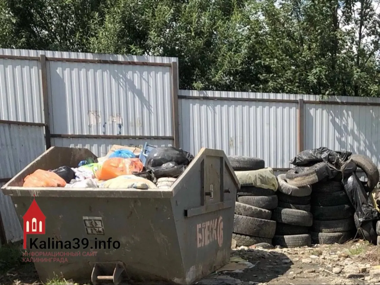 Жители СНТ в Калининграде жалуются на стихийную свалку с покрышками, мебелью и бытовым мусором; из‑за отходов появились крысы и сохраняется риск пожара, региональный оператор отказывается ставить дополнительные контейнеры.