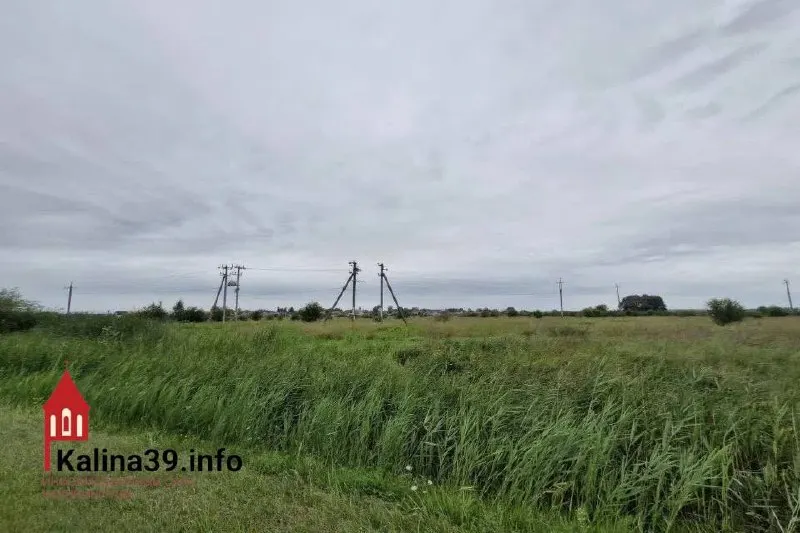 В Гурьевском районе рядом с посёлками Малое Васильково и Невское почти 2 гектара земли переквалифицированы в промышленную зону — на участке планируют разместить базу по обработке природного камня. Решение может расширить пригородную промышленную территорию и повлиять на экологию и сельское хозяйство.