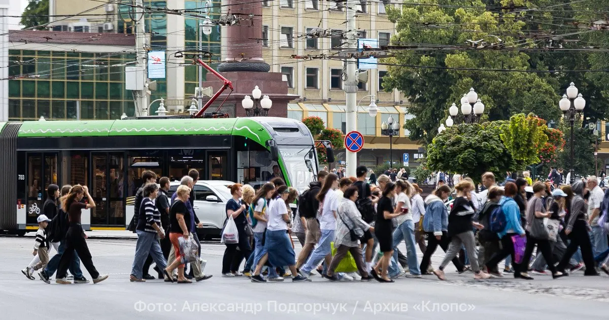 В центре Калининграда из‑за обрыва контактного провода приостановлено движение трамваев. Часть маршрутов временно пойдет по объездным улицам, движение по ряду участков приостановлено до устранения аварии.
