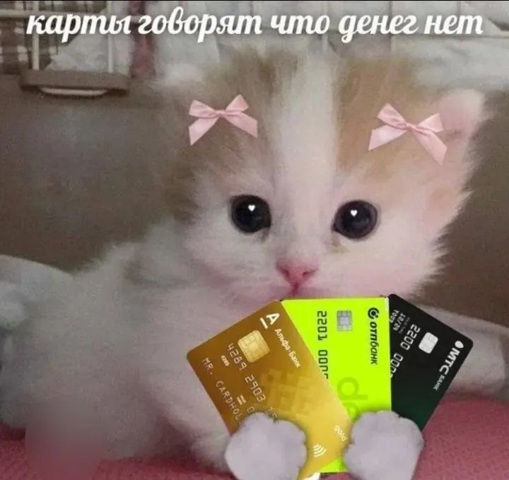 Опрос показал, что молодые специалисты 18–24 лет в Карелии в среднем называют желаемый начальный доход 83 422 рубля в месяц; в регионе в целом — порядка 104 913 рублей.