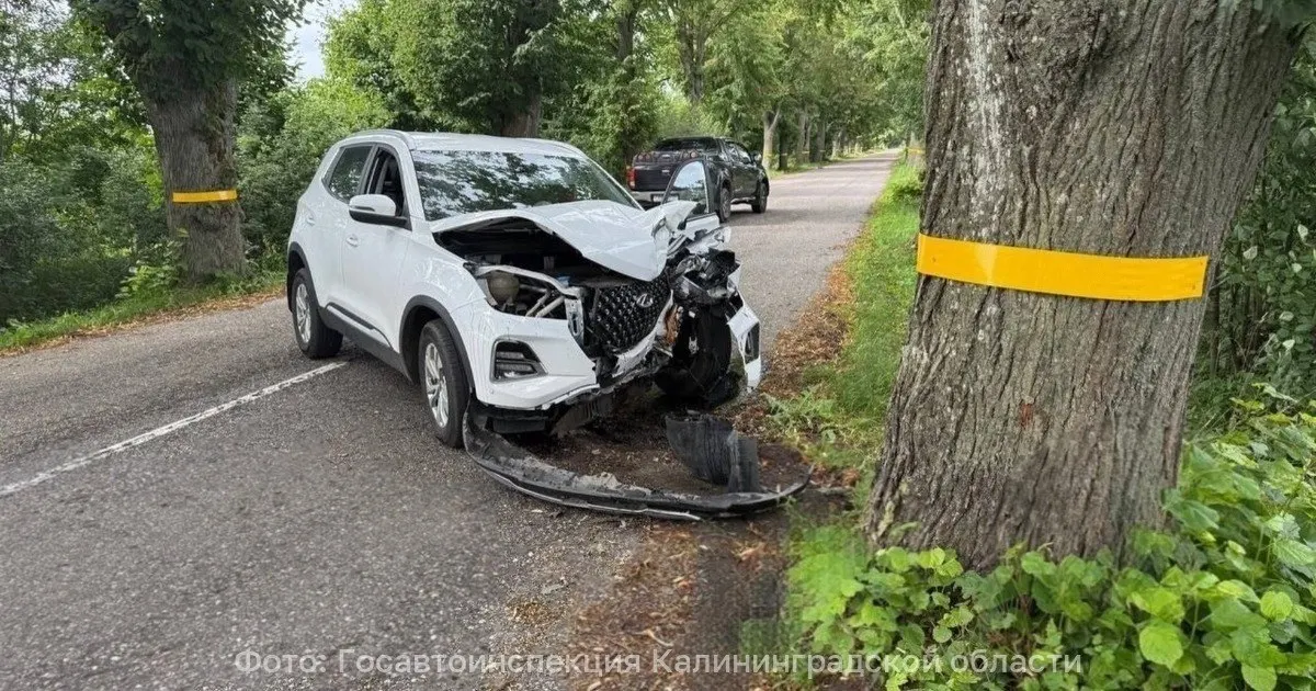 29 июля на 14 км автодороги Кустовка — Славянское — Ушаковка женщина за рулём кроссовера выехала на встречную полосу и столкнулась с деревом; пострадавшая доставлена в больницу.