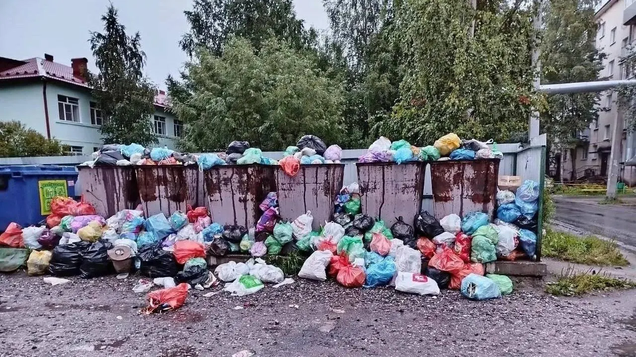 Жители жалуются, что за прошлую неделю вывоз осуществлялся всего два раза. Региональный оператор объясняет задержки поломками спецтехники и обещает перерасчёт.