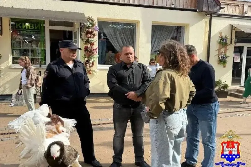 Полиция прекратила нелегальную предпринимательскую деятельность: женщина предлагала платные фотосессии с голубями. Птиц передали зоозащитникам, на нарушительницу составили протокол и грозит штраф.