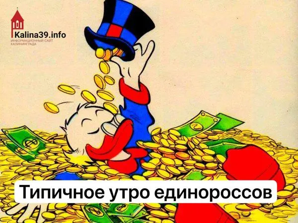 Из официальных деклараций следует, что некоторые кандидаты задекларировали доходы до 35,93 млн рублей в год — в разы больше средних зарплат по региону.