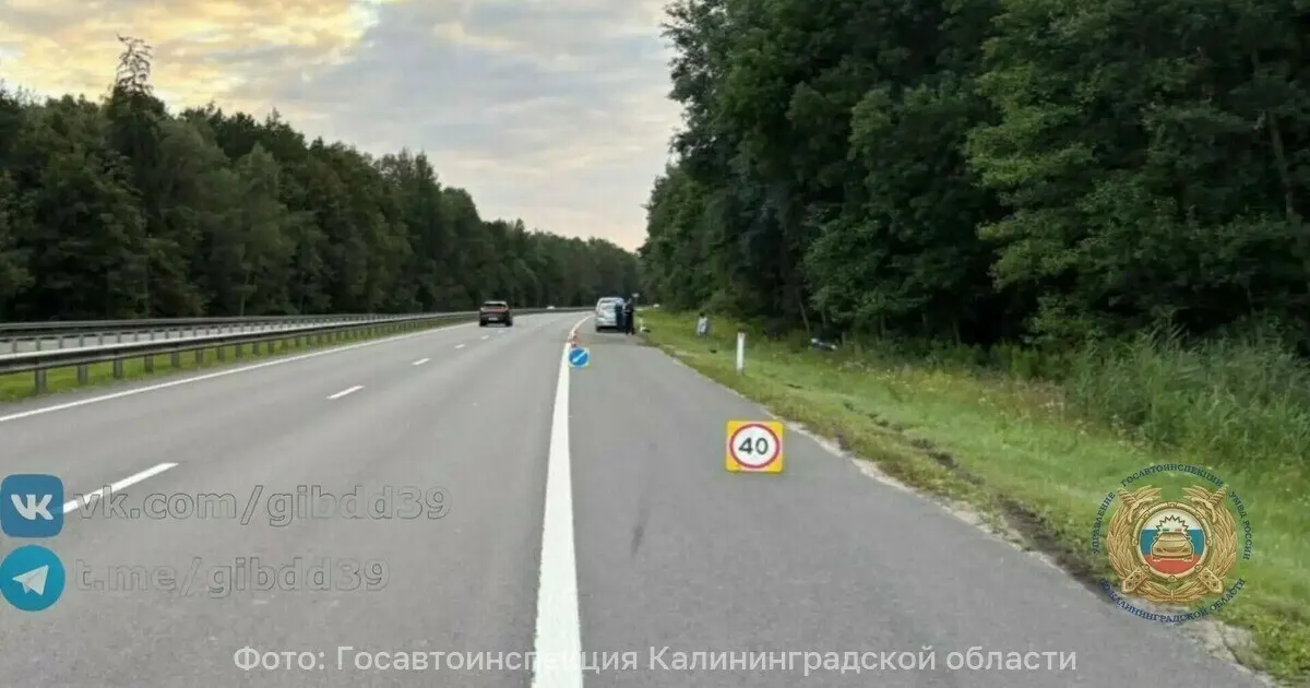 На 44-м километре трассы при обгоне водитель BMW резко затормозил — Renault съехал в кювет и врезался в дерево. Пострадавшую госпитализировали, виновник скрыт и объявлен в розыск.
