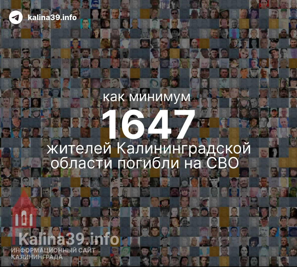 Независимые подсчёты указывают на минимум 1 639–1 647 погибших из Калининградской области; официальная статистика не публикуется.