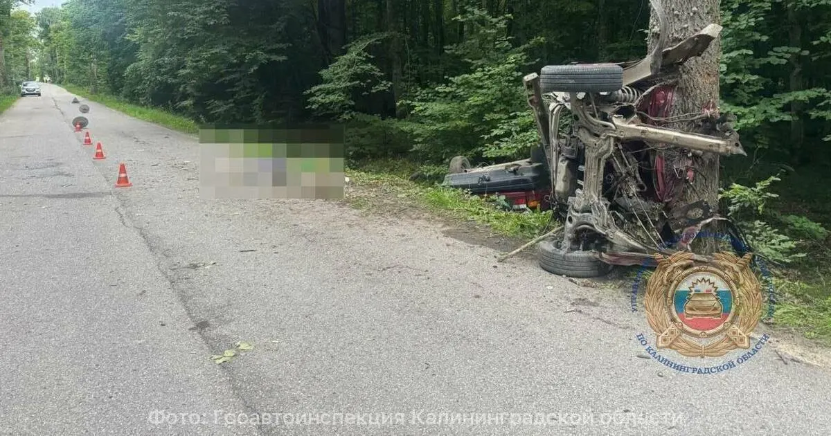 В Гвардейском районе Volkswagen врезался в дерево и был разорван пополам: одна женщина погибла на месте, ещё три человека получили травмы.