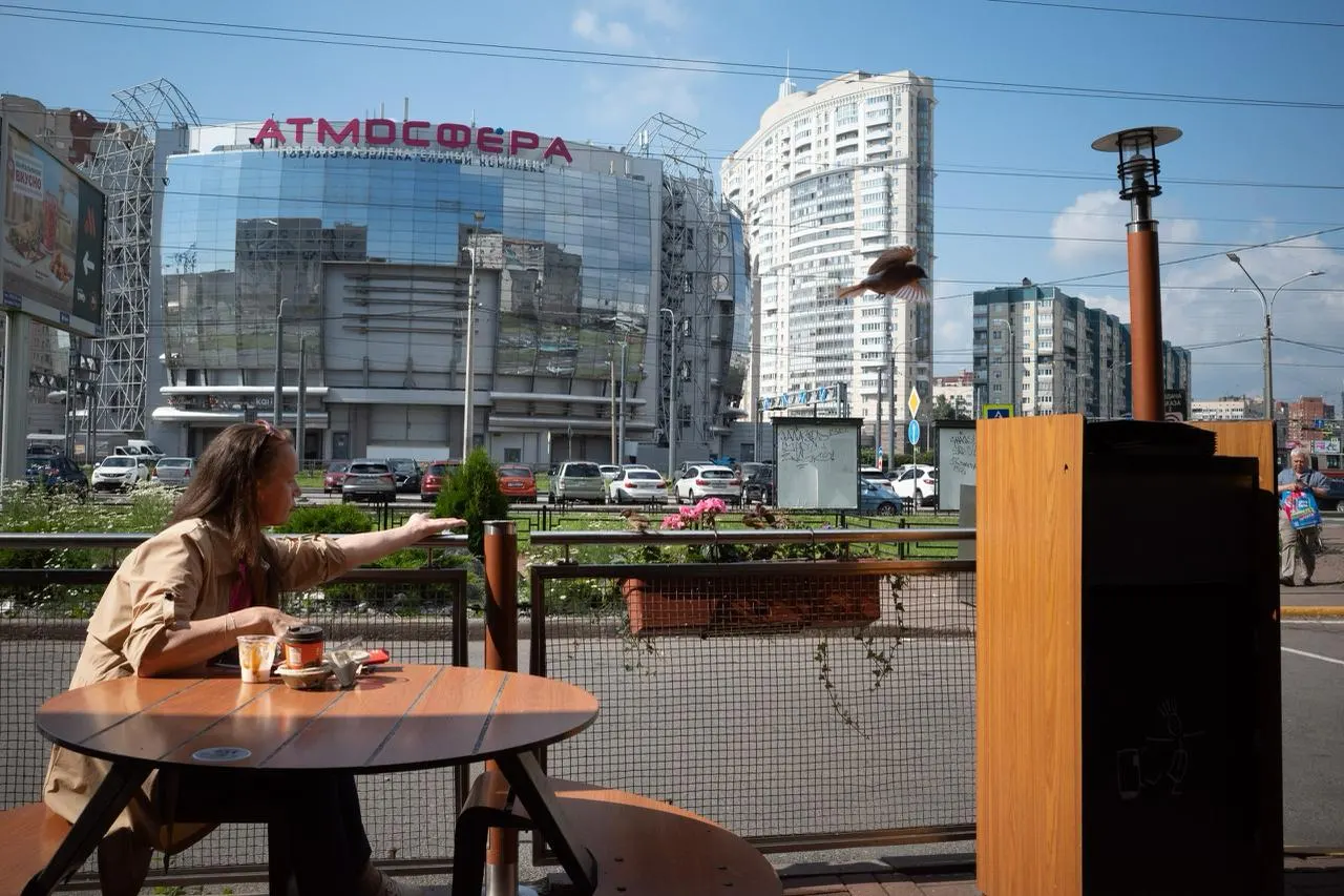 Утром около +16°C, днем прогнозируется +24…+26°C. Без осадков, слабый ветер.
