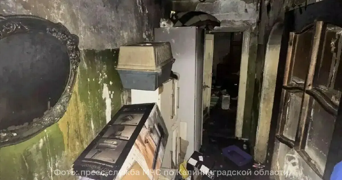 Пожар в однокомнатной квартире на первом этаже трёхэтажного дома в Калининграде локализован. Площадь возгорания составила около 10 кв.м, действовала расчёт из 17 пожарных и 4 единиц техники; из соседней квартиры эвакуирована женщина.