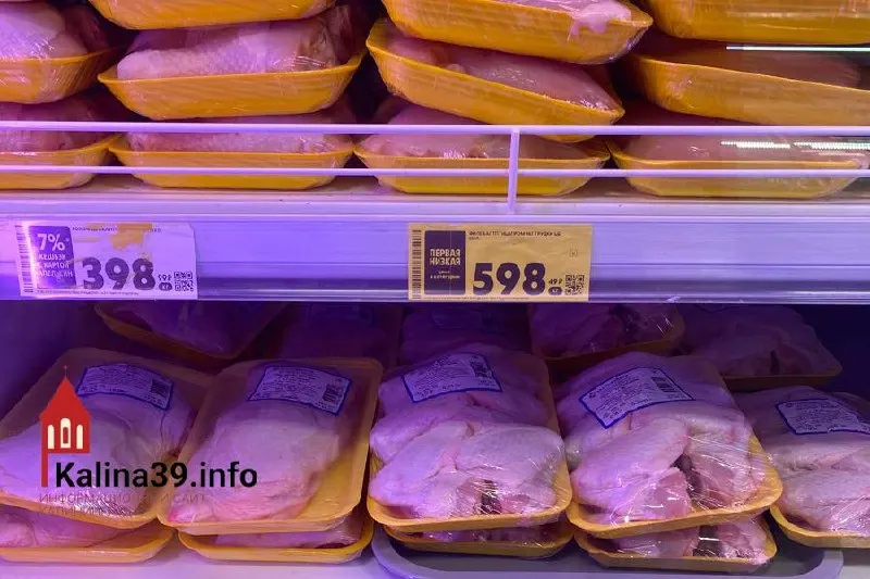 В Калининграде за месяц цены на базовые продукты выросли: самая дорогая корзина оказалась в «Пятёрочке», а самая доступная — в «Спаре»; зафиксированы заметные повышения по ряду позиций.