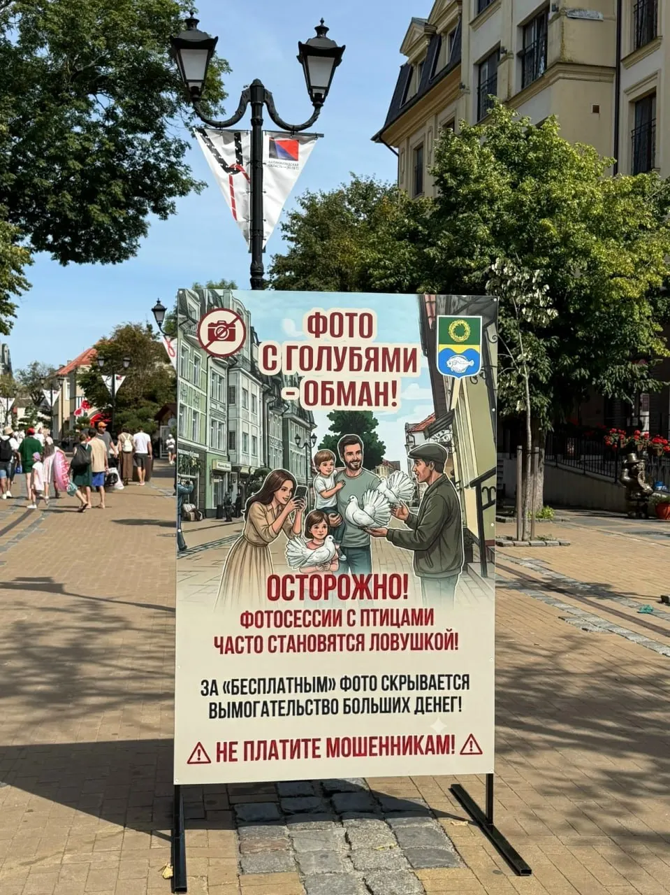 Власти курорта предупреждают гостей о рисках: снимок с декоративными голубями может привести к обману и крупной оплате; призывают не поддаваться мошенникам.