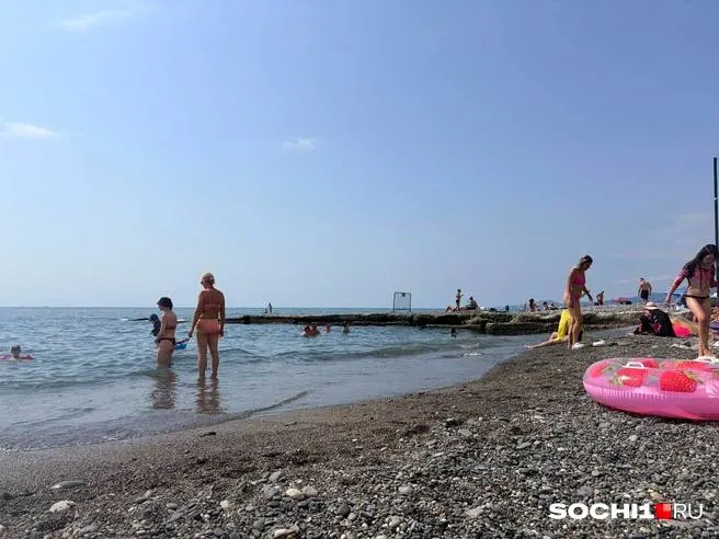 Туристка из Мурманска заплатила мошенникам 166 тысяч рублей за отдых в Сочи; бронирование оказалось липовым.