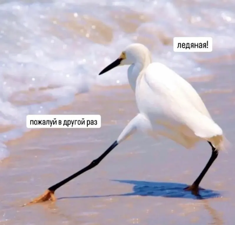 Проверка Роспотребнадзора Карелии выявила: вода безопасна лишь на пляже озера Лососинное, в большинстве популярных у жителей точек обнаружены кишечные бактерии, купаться там небезопасно.