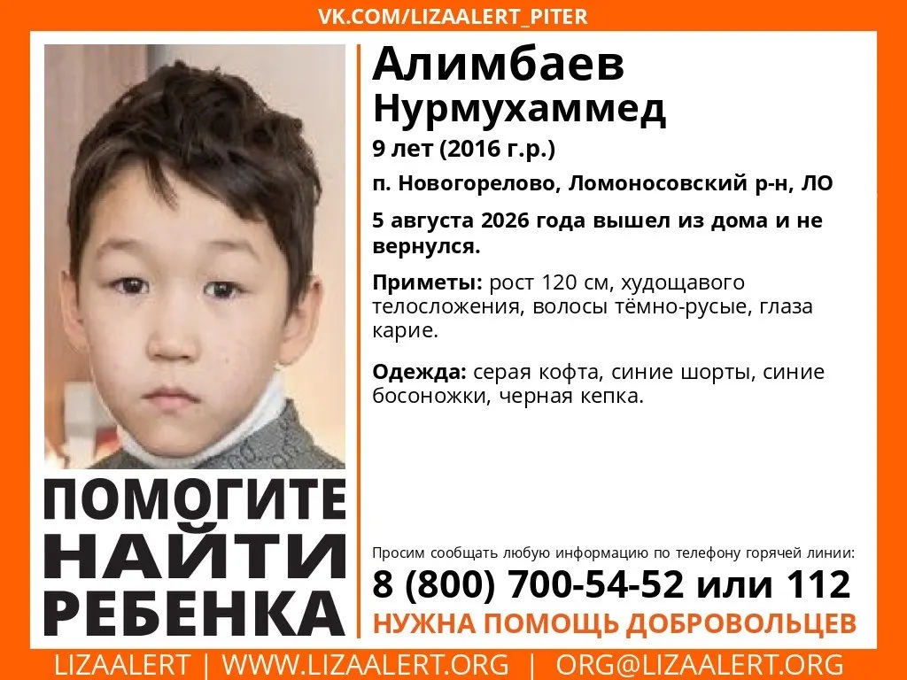 9-летний Нурмухамед пропал в поселке Новогорелово; поиски продолжаются второй день.