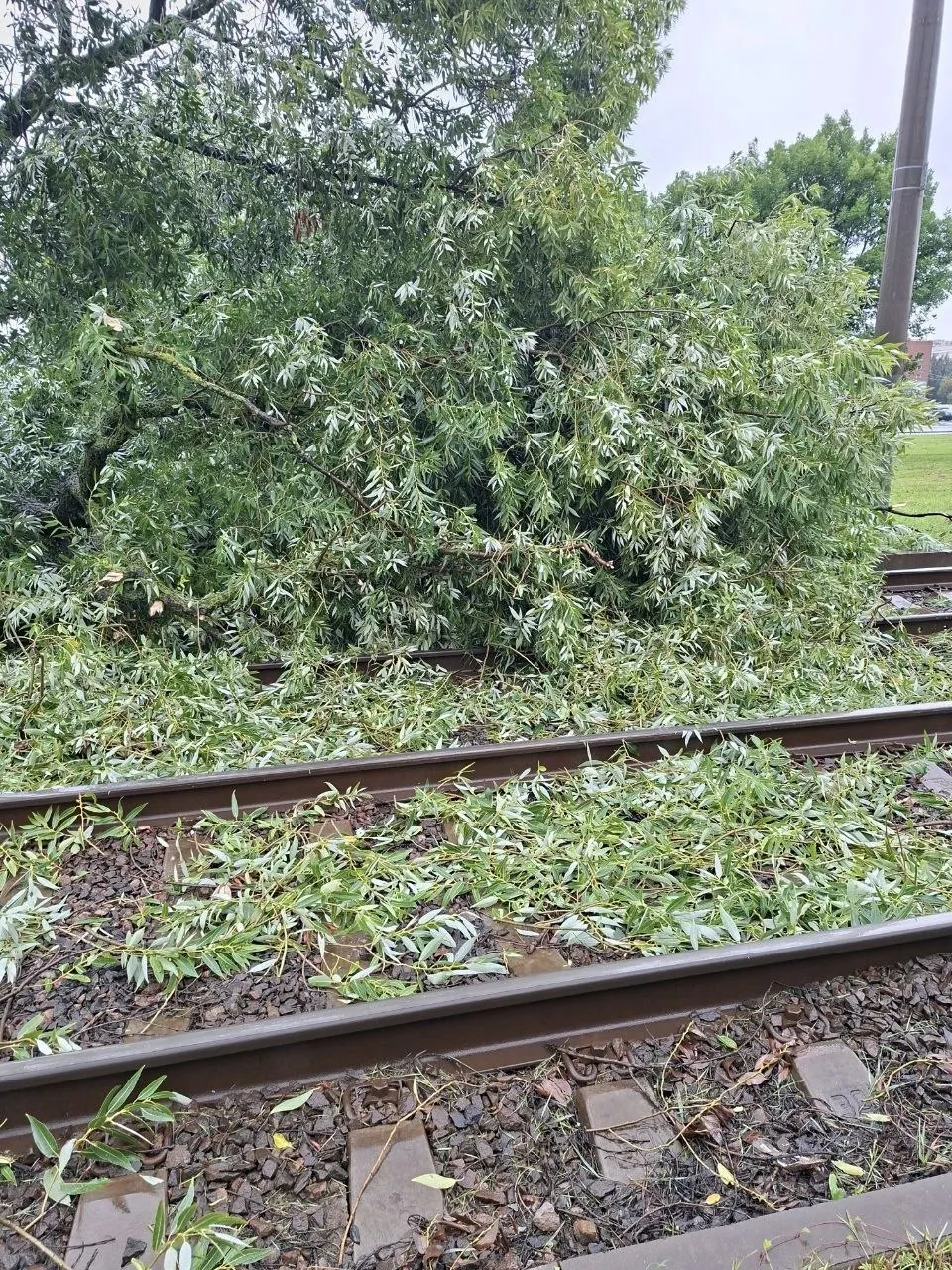 Сильный дождь привёл к подтоплениям в отдельных районах города и временным ограничениям движения. Жителей просят делиться кадрами непогоды.