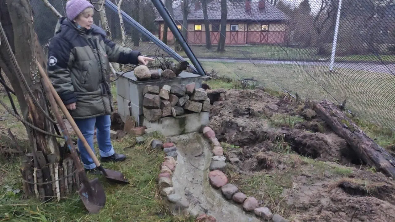 В Калининградском зоопарке восьмилетний трубкозуб Терентий известен своей склонностью ко сну и неспокойной, но милой жизнью, включая необычный побег и поддержку посетителей.