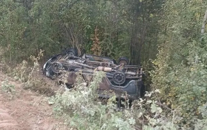 По данным полиции, после ДТП в Пинежском округе Архангельской области загорелся автомобиль; водитель погиб на месте.