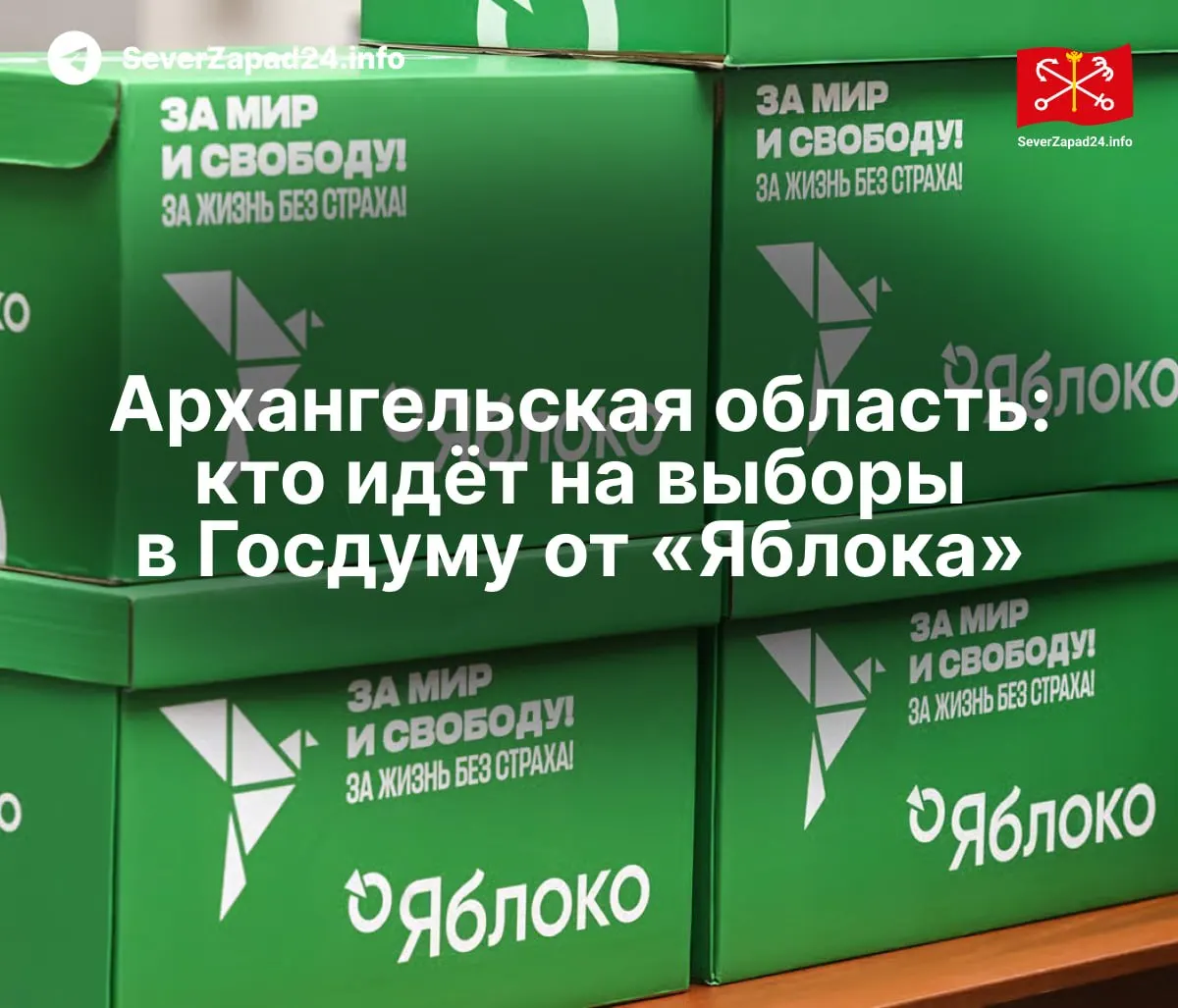 Партия «Яблоко» опубликовала перечень кандидатов, баллотирующихся в Госдуму по Архангельской области и по одномандатным округам.