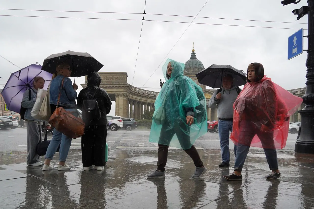 Циклон с территории Польши принесёт Петербургу дождь; за выходные ожидаются 30–40 мм осадков.