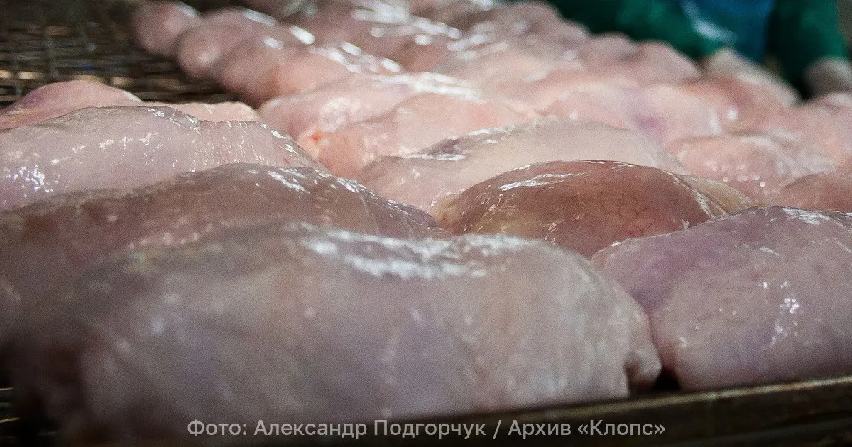 Контроль выявил нарушение маркировки, образцы направлены на экспертизу, партия задержана и временно хранится на складе.