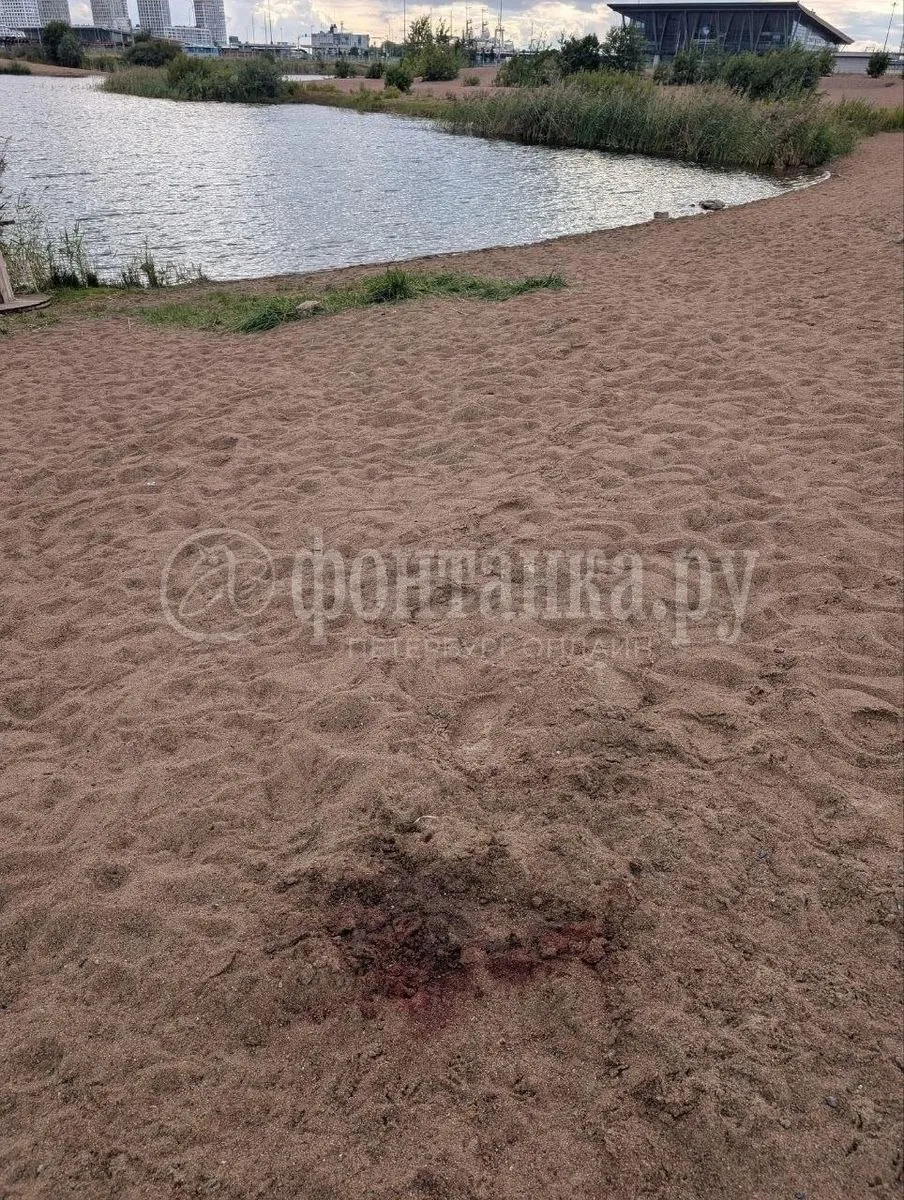 Тело погибшего вывезено, осмотр пруда завершён. К водоему на Мичманской возвращаются отдыхающие; территория огорожена, вдоль забора видна щель.