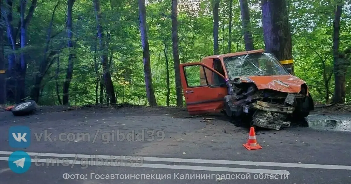 Погиб водитель Ford, 70 лет, после потери управления на трассе Шатрово — Логвино — Кремнево; расследование продолжается.