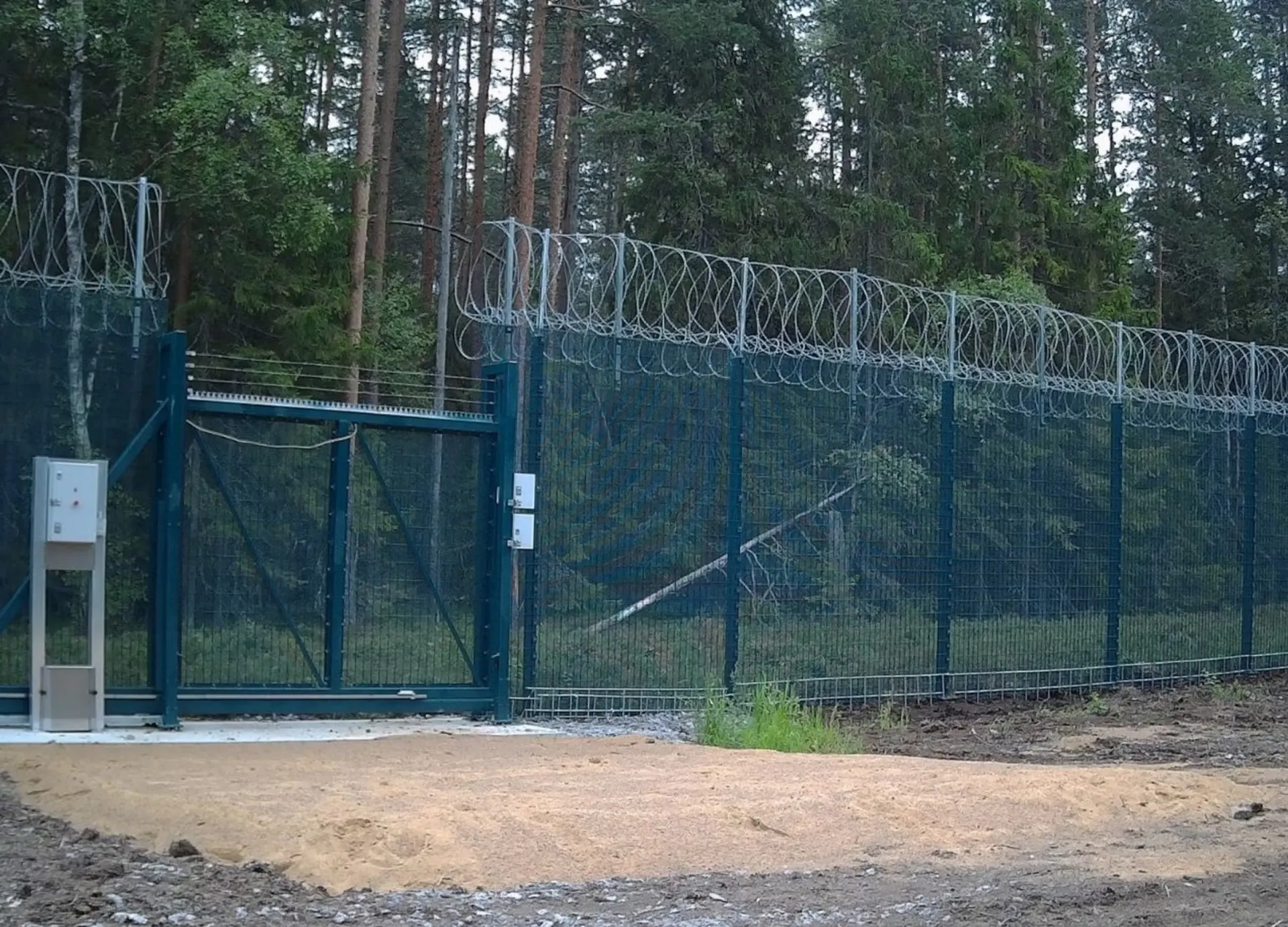 Дикие кабаны оказались заблокированы на границе в связи с распространением африканской чумы свиней; власти обсуждают меры по ограничению миграции и возможные заграждения.