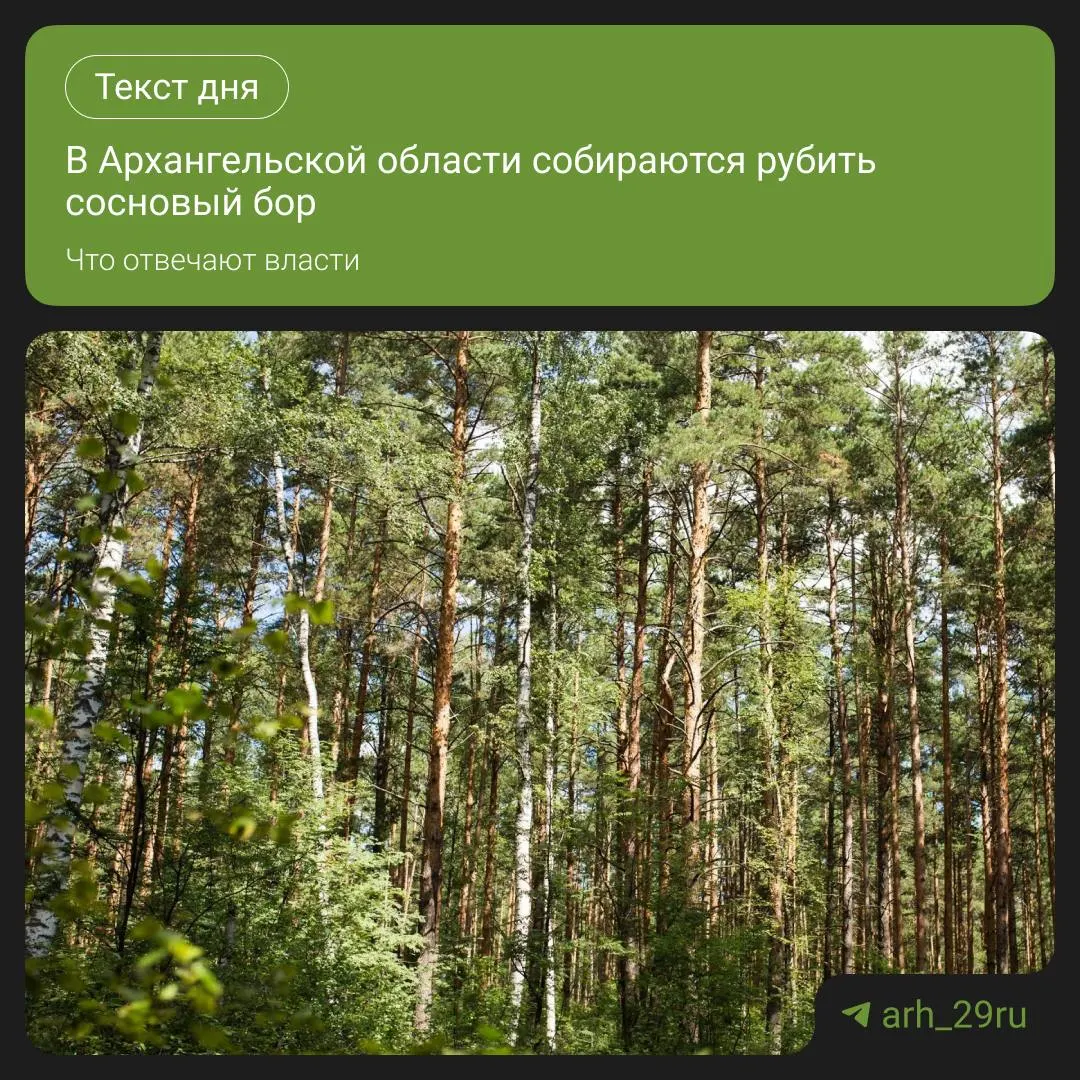 Местные жители требуют разъяснений после заявления чиновников о разрешении на заготовку 5000 кубометров леса индивидуальному предпринимателю.