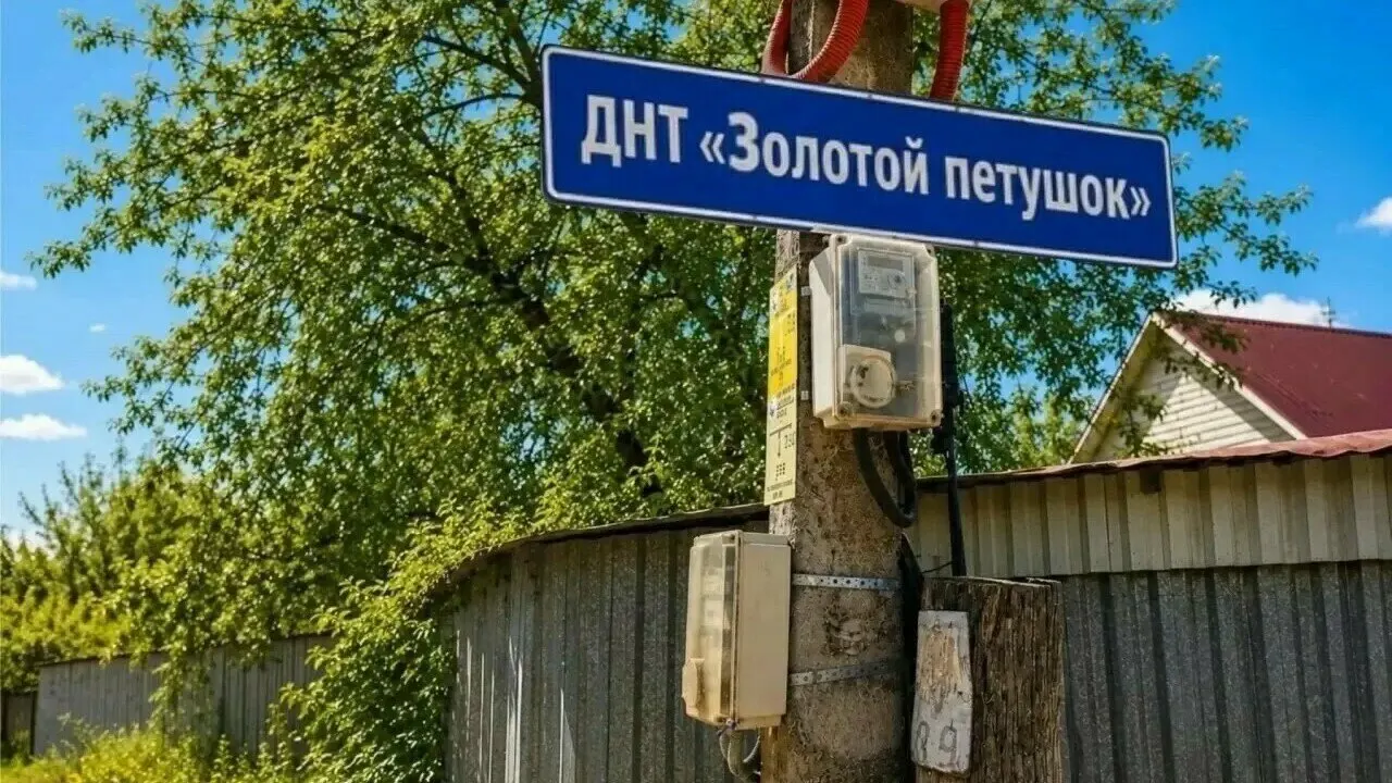 В Калининградской области дачное некоммерческое товарищество задолжало энергопоставщику около 18 млн рублей, начата процедура банкротства.
