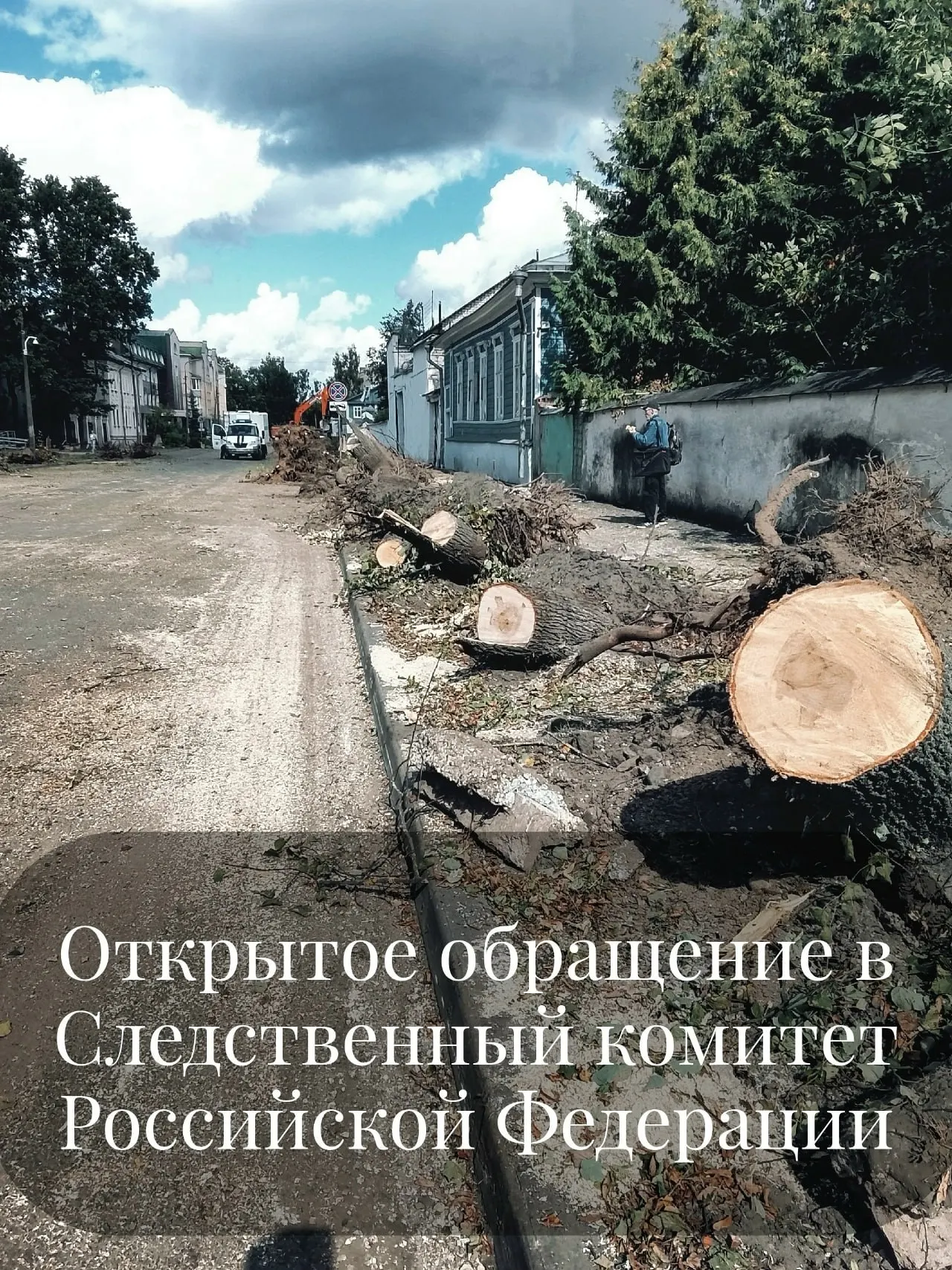 Пскович попросил председателя Следственного комитета проверить спил деревьев на улице Некрасова и возможные нарушения.