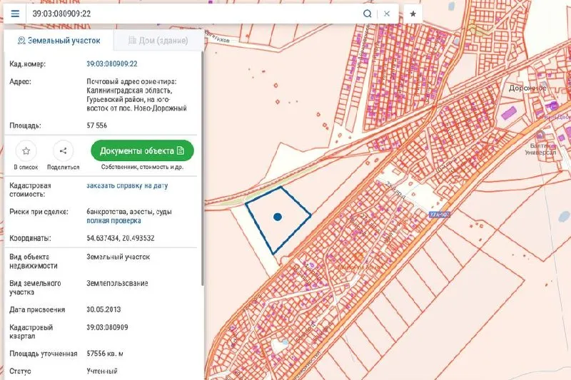 Региональные власти Калининградской области признали проект строительства распределительного центра Wildberries масштабным инвестиционным проектом. Планируется объединение земельных участков и аренда без торгов.