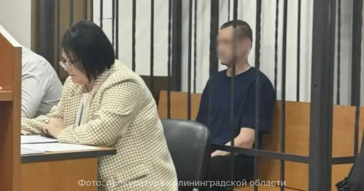 После суда житель Балтийска получил наказание в виде 10 лет колонии строгого режима за убийство участника СВО; матери погибшего назначена компенсация.