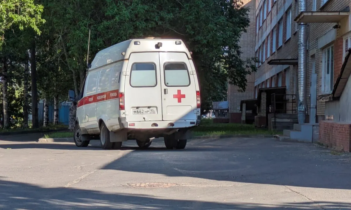 Пострадавшему мальчику в Карелии присуждена компенсация: суд обязал родителей обидчика выплатить 280 тысяч рублей; средства перечислены.
