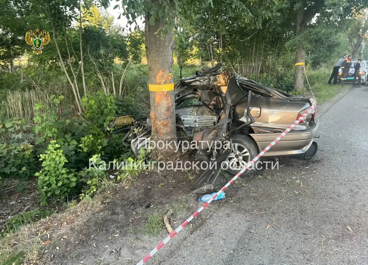 ДТП&nbsp;под&nbsp;Зеленоградском: водитель пошёл на&nbsp;обгон, погибли три&nbsp;человека